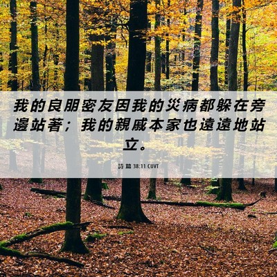Picture 06 - 詩 篇 38:11 CUVT - 我 的 良 朋 密 友 因 我 的 災 病 都 - Bible Verse Picture