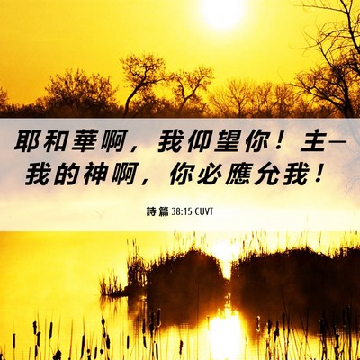 Picture 06 - 詩 篇 38:15 CUVT - 耶 和 華 啊 ， 我 仰 望 你 ！ 主 ─ - Bible Verse Picture