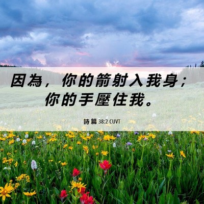 Picture 06 - 詩 篇 38:2 CUVT - 因 為 ， 你 的 箭 射 入 我 身 ； 你 - Bible Verse Picture