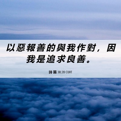 Picture 06 - 詩 篇 38:20 CUVT - 以 惡 報 善 的 與 我 作 對 ， 因 我 - Bible Verse Picture