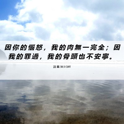 Picture 06 - 詩 篇 38:3 CUVT - 因 你 的 惱 怒 ， 我 的 肉 無 一 完 - Bible Verse Picture