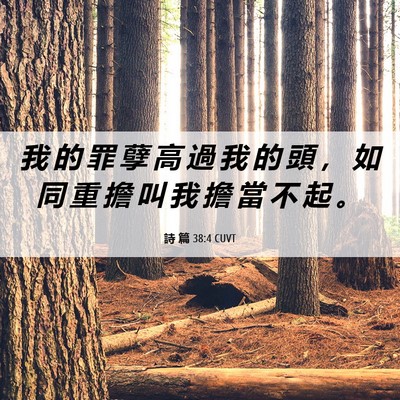 Picture 06 - 詩 篇 38:4 CUVT - 我 的 罪 孽 高 過 我 的 頭 ， 如 同 - Bible Verse Picture