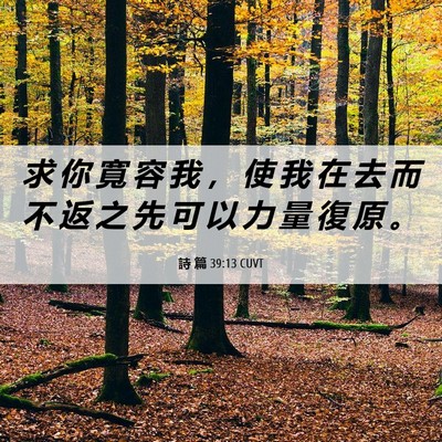 Picture 06 - 詩 篇 39:13 CUVT - 求 你 寬 容 我 ， 使 我 在 去 而 不 - Bible Verse Picture