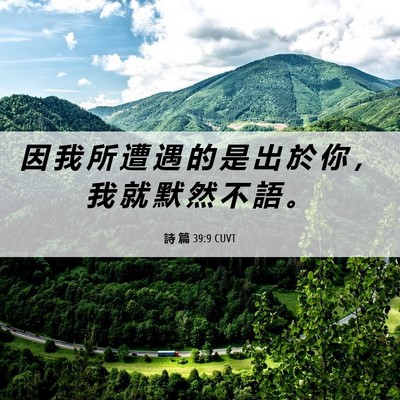 Picture 06 - 詩 篇 39:9 CUVT - 因 我 所 遭 遇 的 是 出 於 你 ， 我 - Bible Verse Picture