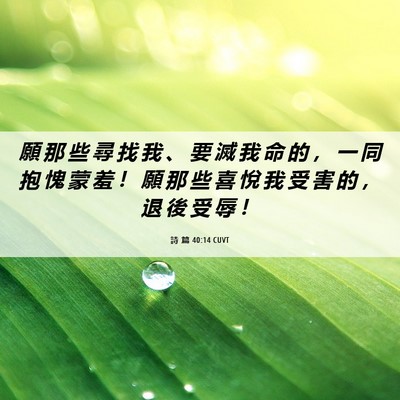Picture 06 - 詩 篇 40:14 CUVT - 願 那 些 尋 找 我 、 要 滅 我 命 的 - Bible Verse Picture