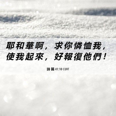 Picture 06 - 詩 篇 41:10 CUVT - 耶 和 華 啊 ， 求 你 憐 恤 我 ， 使 - Bible Verse Picture