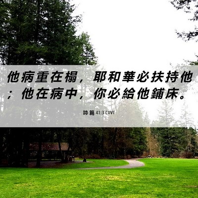 Picture 06 - 詩 篇 41:3 CUVT - 他 病 重 在 榻 ， 耶 和 華 必 扶 持 - Bible Verse Picture