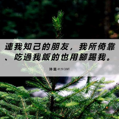Picture 06 - 詩 篇 41:9 CUVT - 連 我 知 己 的 朋 友 ， 我 所 倚 靠 - Bible Verse Picture