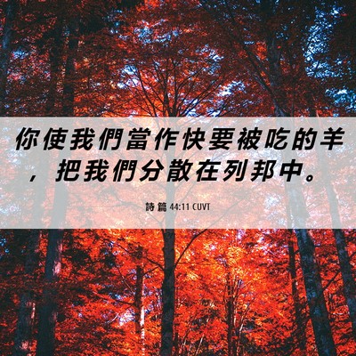 Picture 06 - 詩 篇 44:11 CUVT - 你 使 我 們 當 作 快 要 被 吃 的 羊 - Bible Verse Picture