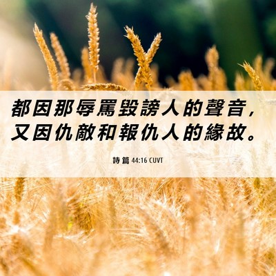 Picture 06 - 詩 篇 44:16 CUVT - 都 因 那 辱 罵 毀 謗 人 的 聲 音 ， - Bible Verse Picture