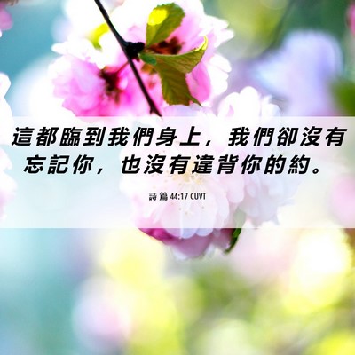Picture 06 - 詩 篇 44:17 CUVT - 這 都 臨 到 我 們 身 上 ， 我 們 卻 - Bible Verse Picture