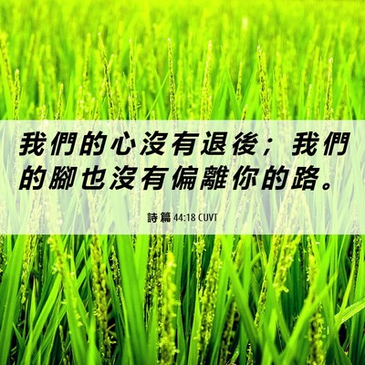 Picture 06 - 詩 篇 44:18 CUVT - 我 們 的 心 沒 有 退 後 ； 我 們 的 - Bible Verse Picture