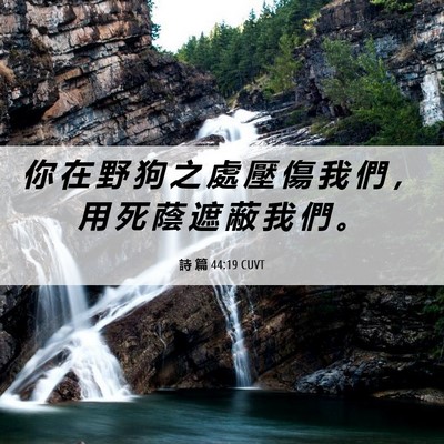 Picture 06 - 詩 篇 44:19 CUVT - 你 在 野 狗 之 處 壓 傷 我 們 ， 用 - Bible Verse Picture