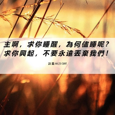 Picture 06 - 詩 篇 44:23 CUVT - 主 啊 ， 求 你 睡 醒 ， 為 何 儘 睡 - Bible Verse Picture