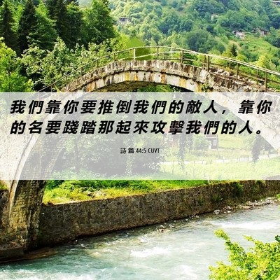 Picture 06 - 詩 篇 44:5 CUVT - 我 們 靠 你 要 推 倒 我 們 的 敵 人 - Bible Verse Picture