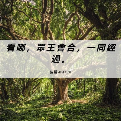 Picture 06 - 詩 篇 48:4 CUVT - 看 哪 ， 眾 王 會 合 ， 一 同 經 過 - Bible Verse Picture