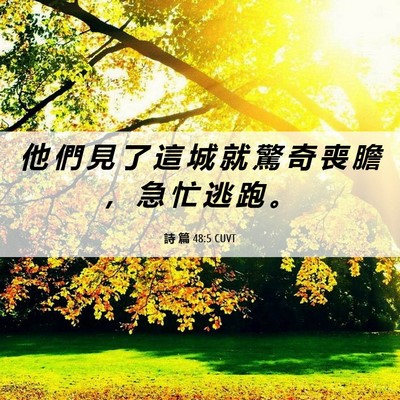 Picture 06 - 詩 篇 48:5 CUVT - 他 們 見 了 這 城 就 驚 奇 喪 膽 ， - Bible Verse Picture