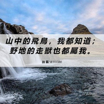 Picture 06 - 詩 篇 50:11 CUVT - 山 中 的 飛 鳥 ， 我 都 知 道 ； 野 - Bible Verse Picture