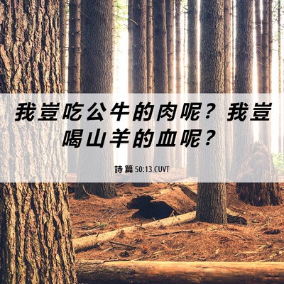 Picture 06 - 詩 篇 50:13 CUVT - 我 豈 吃 公 牛 的 肉 呢 ？ 我 豈 喝 - Bible Verse Picture