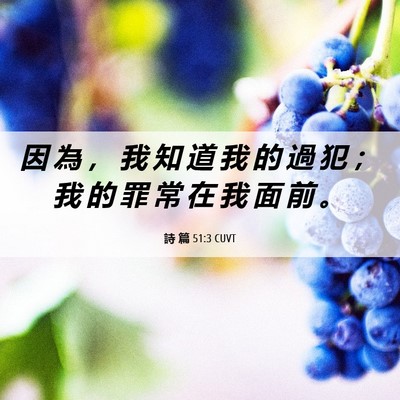 Picture 06 - 詩 篇 51:3 CUVT - 因 為 ， 我 知 道 我 的 過 犯 ； 我 - Bible Verse Picture