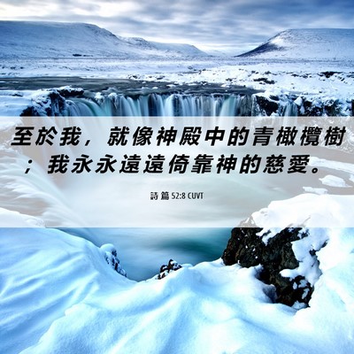 Picture 06 - 詩 篇 52:8 CUVT - 至 於 我 ， 就 像 神 殿 中 的 青 橄 - Bible Verse Picture