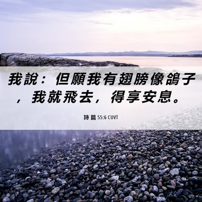 Picture 06 - 詩 篇 55:6 CUVT - 我 說 ： 但 願 我 有 翅 膀 像 鴿 子 - Bible Verse Picture