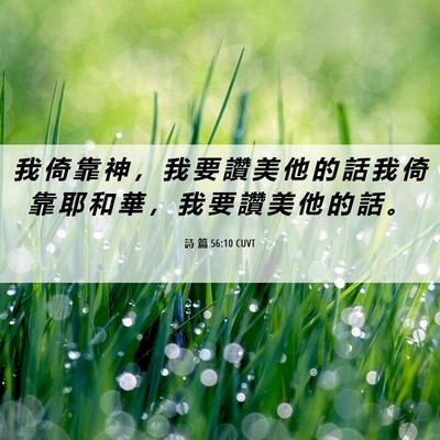Picture 06 - 詩 篇 56:10 CUVT - 我 倚 靠 神 ， 我 要 讚 美 他 的 話 - Bible Verse Picture