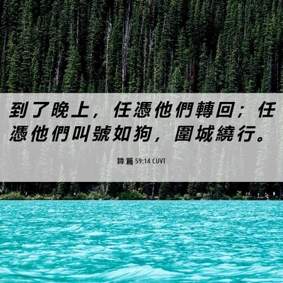 Picture 06 - 詩 篇 59:14 CUVT - 到 了 晚 上 ， 任 憑 他 們 轉 回 ； - Bible Verse Picture
