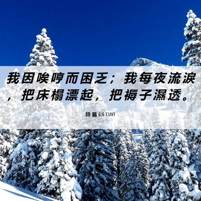Picture 06 - 詩 篇 6:6 CUVT - 我 因 唉 哼 而 困 乏 ； 我 每 夜 流 - Bible Verse Picture