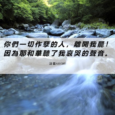 Picture 06 - 詩 篇 6:8 CUVT - 你 們 一 切 作 孽 的 人 ， 離 開 我 - Bible Verse Picture