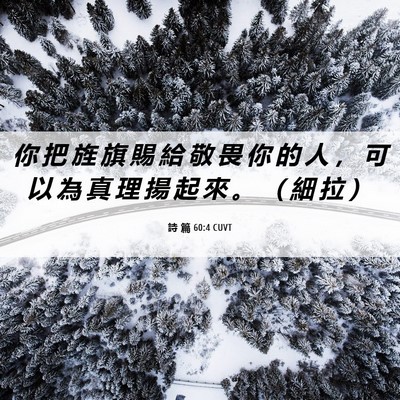 Picture 06 - 詩 篇 60:4 CUVT - 你 把 旌 旗 賜 給 敬 畏 你 的 人 ， - Bible Verse Picture