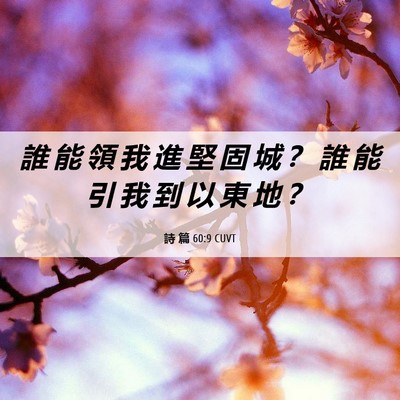 Picture 06 - 詩 篇 60:9 CUVT - 誰 能 領 我 進 堅 固 城 ？ 誰 能 引 - Bible Verse Picture