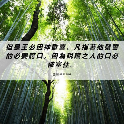 Picture 06 - 詩 篇 63:11 CUVT - 但 是 王 必 因 神 歡 喜 。 凡 指 著 - Bible Verse Picture
