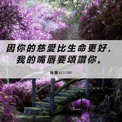 Picture 06 - 詩 篇 63:3 CUVT - 因 你 的 慈 愛 比 生 命 更 好 ， 我 - Bible Verse Picture