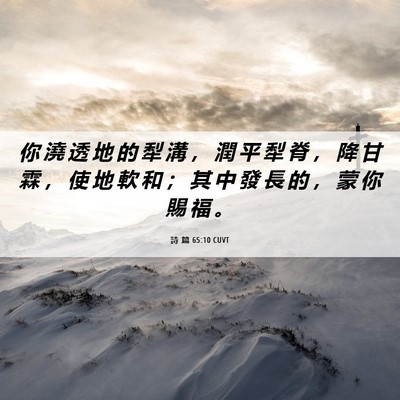 Picture 06 - 詩 篇 65:10 CUVT - 你 澆 透 地 的 犁 溝 ， 潤 平 犁 脊 - Bible Verse Picture
