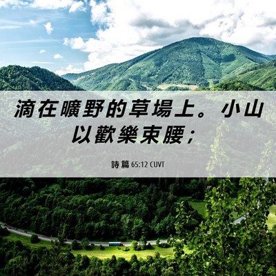 Picture 06 - 詩 篇 65:12 CUVT - 滴 在 曠 野 的 草 場 上 。 小 山 以 - Bible Verse Picture