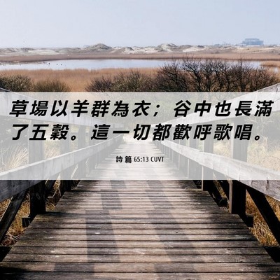 Picture 06 - 詩 篇 65:13 CUVT - 草 場 以 羊 群 為 衣 ； 谷 中 也 長 - Bible Verse Picture