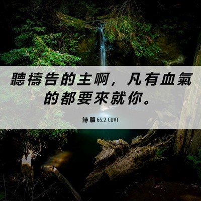 Picture 06 - 詩 篇 65:2 CUVT - 聽 禱 告 的 主 啊 ， 凡 有 血 氣 的 - Bible Verse Picture