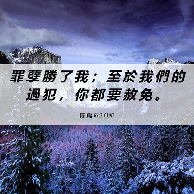 Picture 06 - 詩 篇 65:3 CUVT - 罪 孽 勝 了 我 ； 至 於 我 們 的 過 - Bible Verse Picture