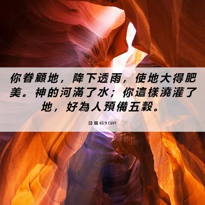 Picture 06 - 詩 篇 65:9 CUVT - 你 眷 顧 地 ， 降 下 透 雨 ， 使 地 - Bible Verse Picture