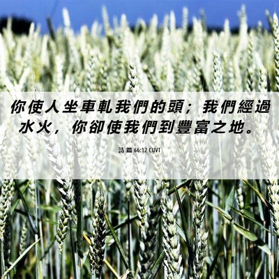 Picture 06 - 詩 篇 66:12 CUVT - 你 使 人 坐 車 軋 我 們 的 頭 ； 我 - Bible Verse Picture