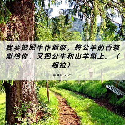 Picture 06 - 詩 篇 66:15 CUVT - 我 要 把 肥 牛 作 燔 祭 ， 將 公 羊 - Bible Verse Picture