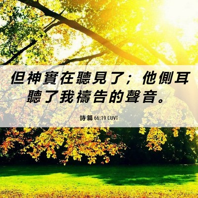 Picture 06 - 詩 篇 66:19 CUVT - 但 神 實 在 聽 見 了 ； 他 側 耳 聽 - Bible Verse Picture