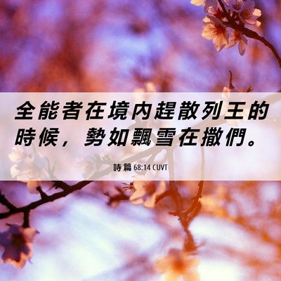 Picture 06 - 詩 篇 68:14 CUVT - 全 能 者 在 境 內 趕 散 列 王 的 時 - Bible Verse Picture