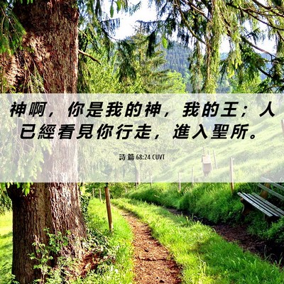 Picture 06 - 詩 篇 68:24 CUVT - 神 啊 ， 你 是 我 的 神 ， 我 的 王 - Bible Verse Picture