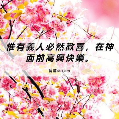 Picture 06 - 詩 篇 68:3 CUVT - 惟 有 義 人 必 然 歡 喜 ， 在 神 面 - Bible Verse Picture