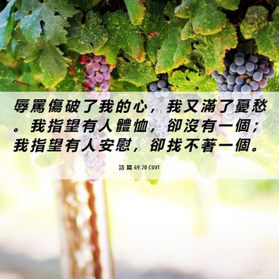 Picture 06 - 詩 篇 69:20 CUVT - 辱 罵 傷 破 了 我 的 心 ， 我 又 滿 - Bible Verse Picture