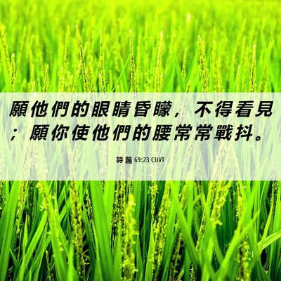 Picture 06 - 詩 篇 69:23 CUVT - 願 他 們 的 眼 睛 昏 矇 ， 不 得 看 - Bible Verse Picture