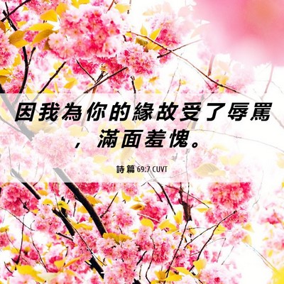 Picture 06 - 詩 篇 69:7 CUVT - 因 我 為 你 的 緣 故 受 了 辱 罵 ， - Bible Verse Picture