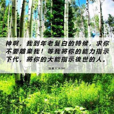 Picture 06 - 詩 篇 71:18 CUVT - 神 啊 ， 我 到 年 老 髮 白 的 時 候 - Bible Verse Picture